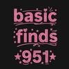 basicfinds951